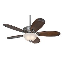 Hunter 54074 Teague 54" Antique Pewter Ceiling Fan with Five Blackened Pecan Blades - B00F2MQ0F0